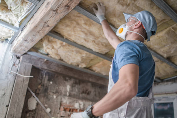 Best Insulation Maintenance and Repair in North Prairie, WI